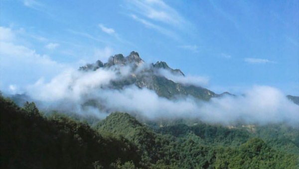 中国最美的十大森林公园-白云山(600332)-股票