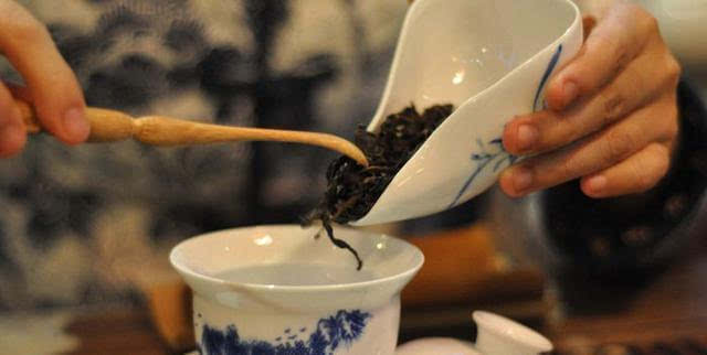 泡茶必杀技详解各类茶叶投茶比例