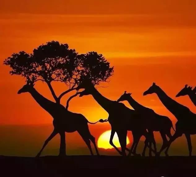 世界那么大,我想去看看