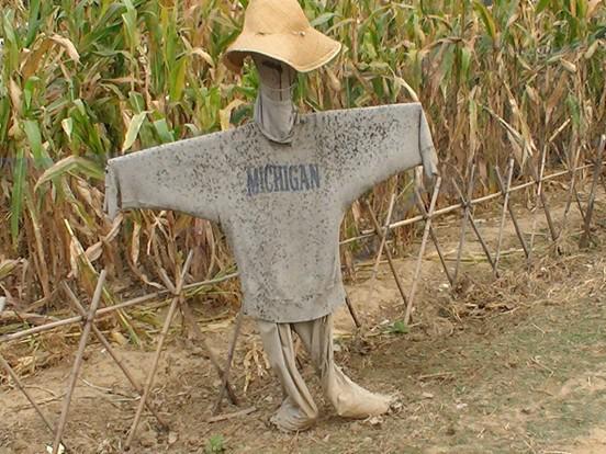 带娃回归田园 京郊14家农场采摘乐园