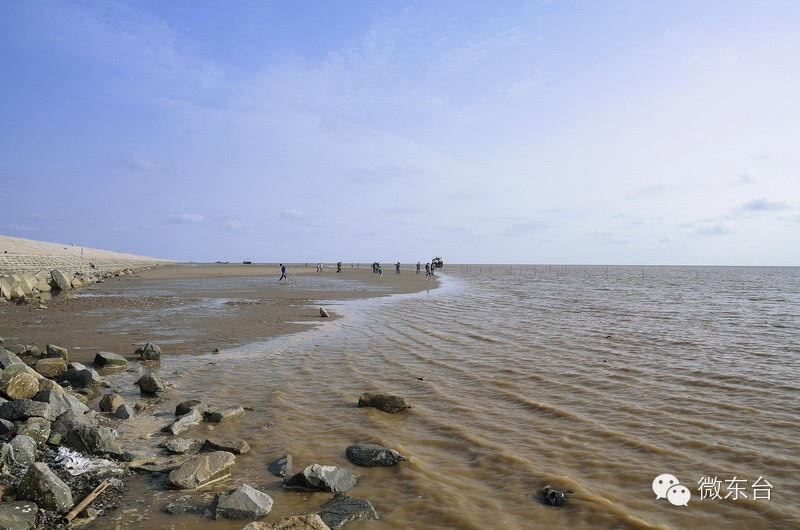 五一那么短,我们怎么约?--弶港沿海旅游观光尝美食.