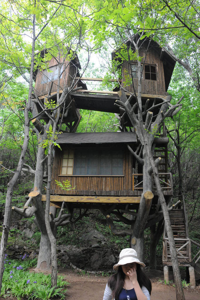 [旅游] 济南"空中树屋"开放