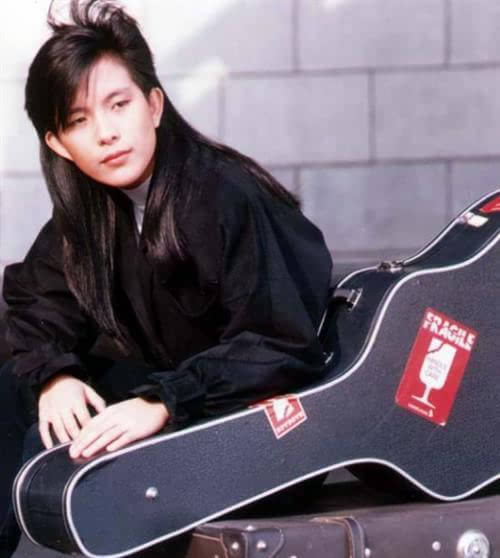 其实潘美辰应该是80年代末才出道,并在90年代步入辉煌的一位女歌手