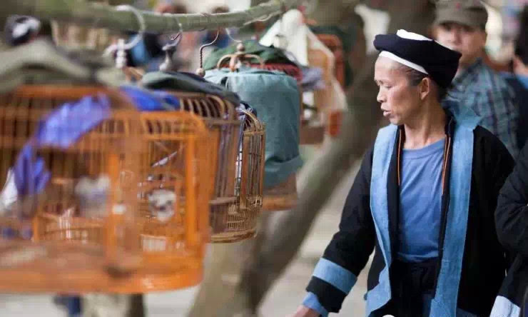 白裤瑶族 | 人类文明的活化石