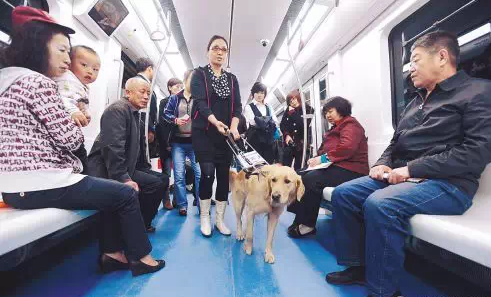 【郑州人】郑州地铁:吃东西带宠物可罚百元 逃票被列入"黑名单"-搜狐