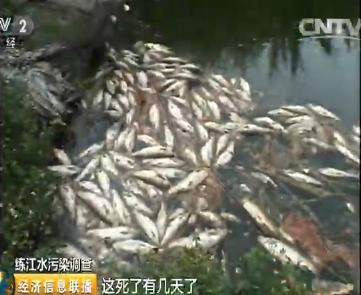 【痛心】母亲河"练江":8种污染物严重超标 江边居民无