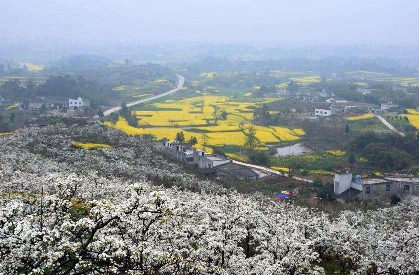 "梨花溪附近就是花舞人间,这个时候去梨花还没开,可以去爬爬老君山