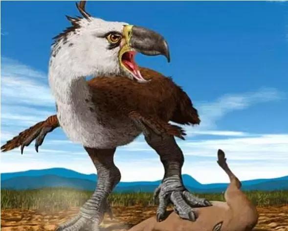 七大远古巨兽 体形就是巨大