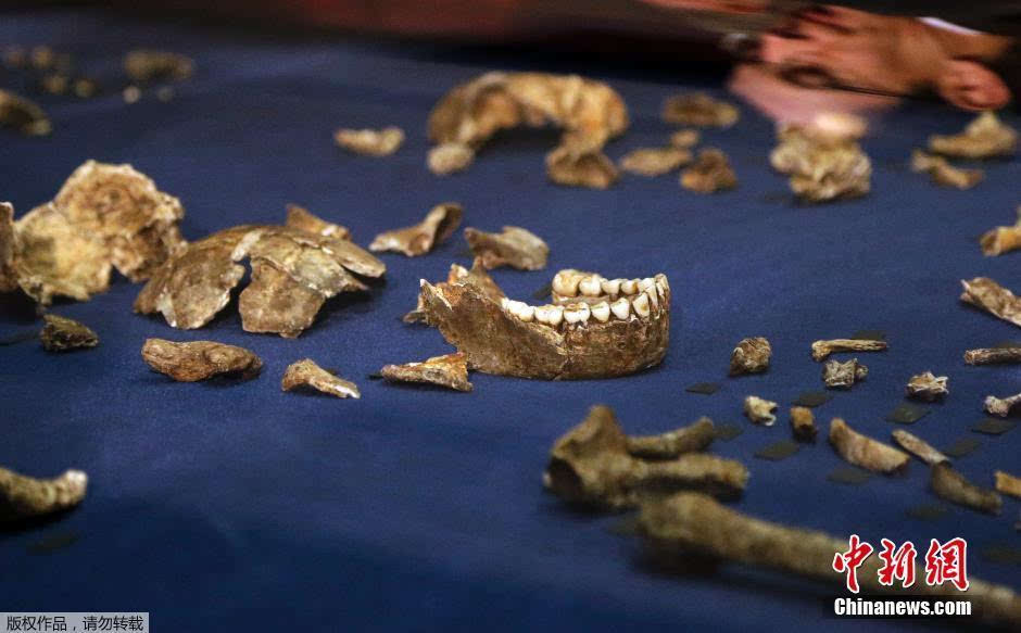 南非发现新人种遗骸 或改变对祖先认知