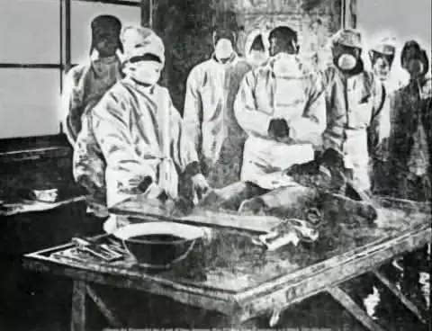 731部队对中国人进行鼠疫实验