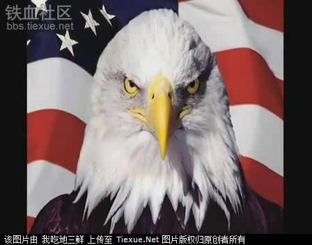 [原创]中美较量一从前苏联的倒台看美国对中国