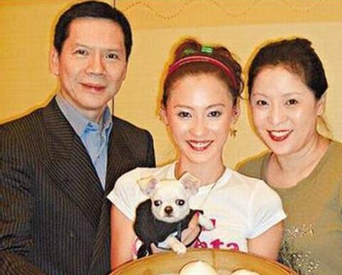 向太否认和张柏芝是误会 揭秘张柏芝得罪过电