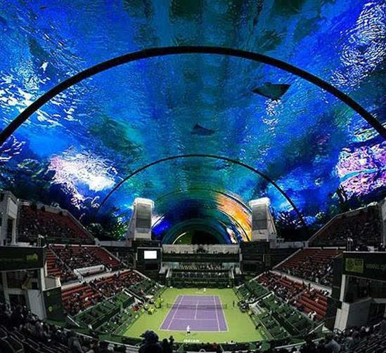 迪拜将建水下网球场头顶海鲜看网球