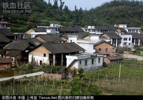 日网民评中国内陆地区的贫穷农村生活