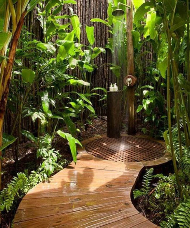 盘点最新潮室内装潢设计 热带雨林搬进家门