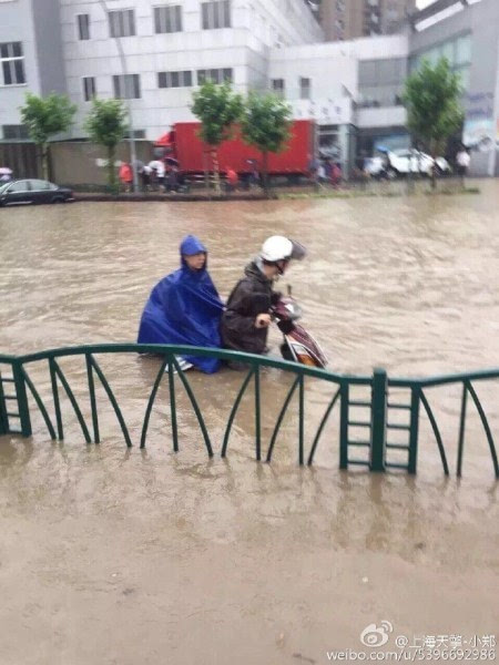 上海暴雨河水倒灌 市民划船出行