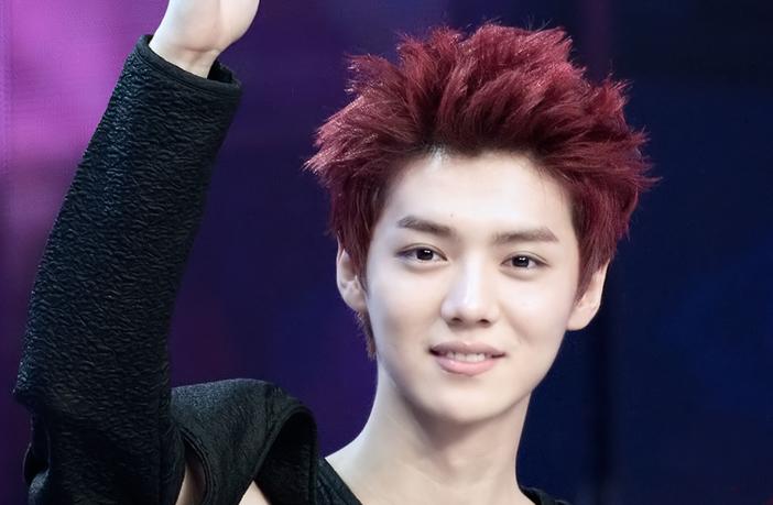 exo收入分配_exo两队收入