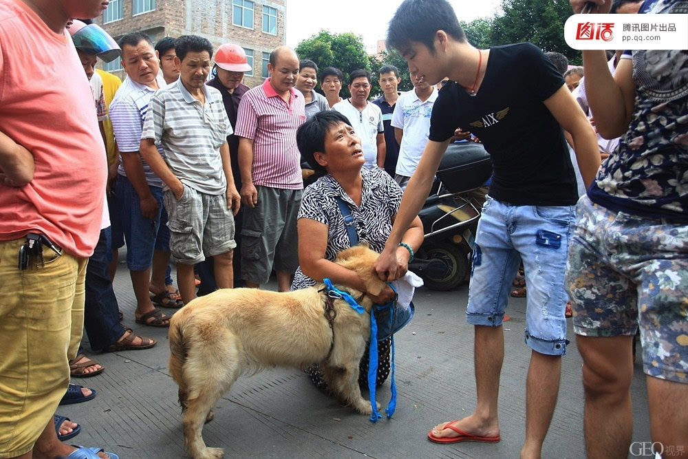 广西玉林狗肉节--全球吃狗争议