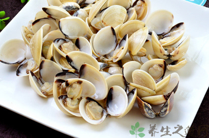 海蛤壳的功效与作用海蛤壳的药用价值