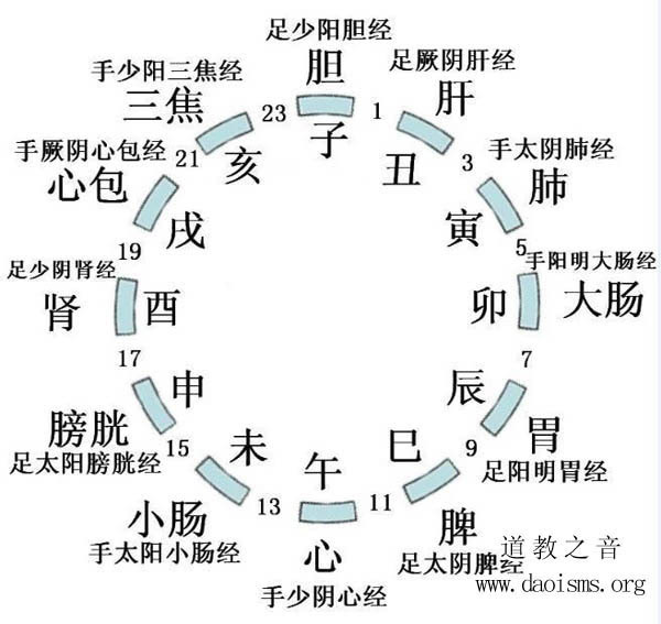 子午流注与五脏六腑疾病