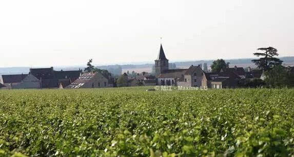 法国香槟和勃艮第正式入列世界遗产名录
