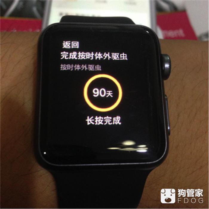 用apple watch养狗会是什么情况