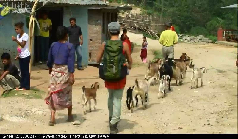 尼泊尔挑夫 幸福指数高的国家也艰辛哪