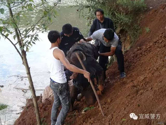 9月9日下午,一场大雨过后,宣威市乐丰乡遭遇突如其来的山体滑坡,正在