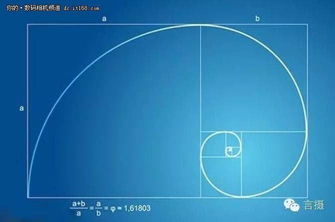 黄金螺旋曲线在生活中和自然界中存在许多黄金螺旋的图案,这些都被