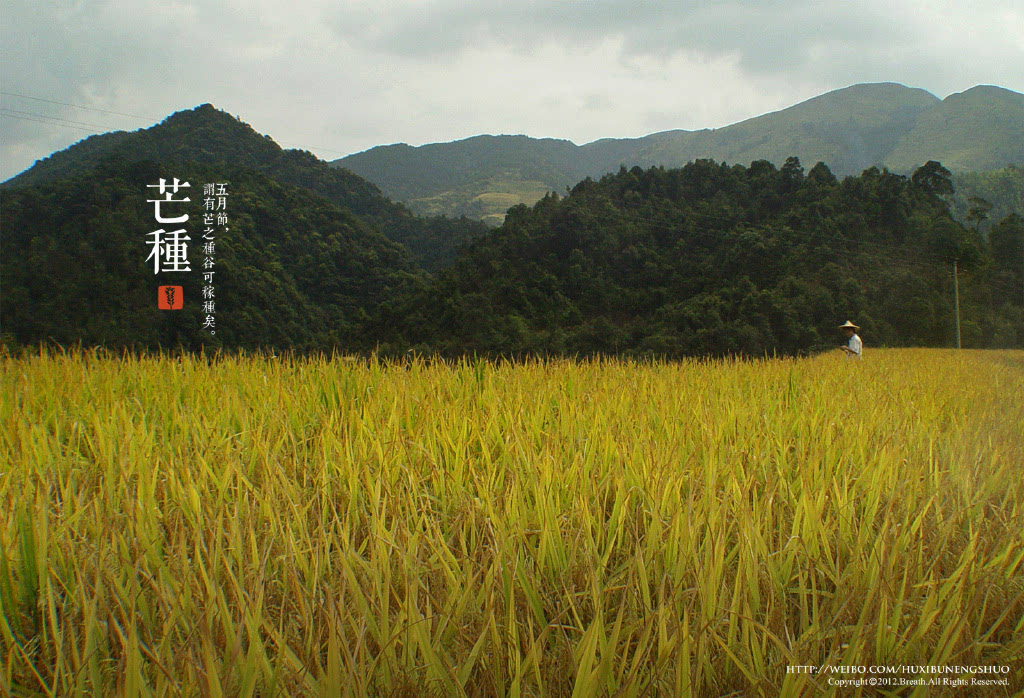 风解冻 万物复苏-东风汽车(600006)-股票行情中