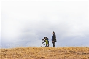 飞的最快的鸟排行_全世界飞行速度最快的鸟,甚至比高铁还要快,时速达到418公里