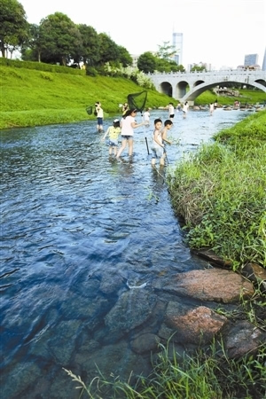 经过治理的福田河,河水清澈见底,成了市民休闲的好去处.