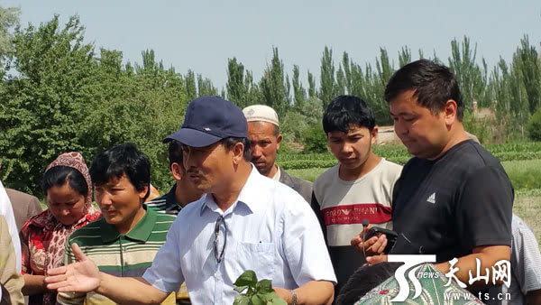 疏勒县:农业技术培训受到村民欢迎