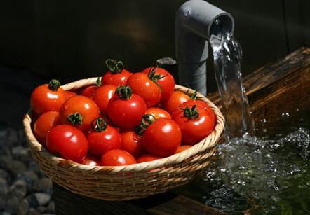 减肥药没用!番茄减肥餐练就更完美的身材曲线