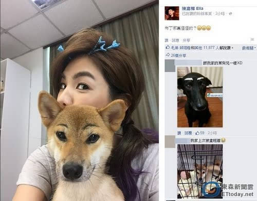 Ella帮宠物画上眉毛爱犬造型妖媚