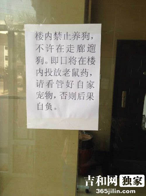 青国青城小区内现投放老鼠药告示楼内禁止养狗