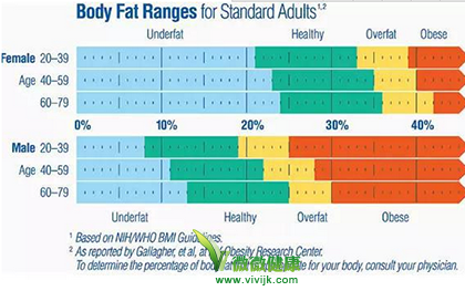 附体脂率计算表