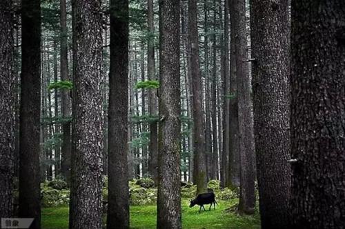 隐秘国:世界上唯一不与中国建交的邻国