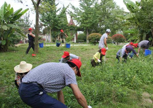 滁州市第十中学暑期开展党员志愿者实践活动