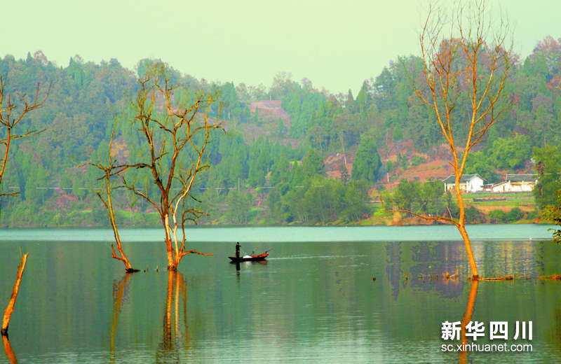 鱼子溪湿地.