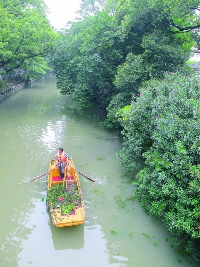 清理护城河