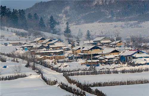 东北人口迁入地_世界人口老龄化地图片