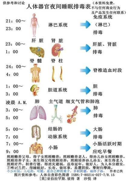 4,肝脏有排毒时间表?