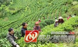 品牌建设:农产品走出怀化的 "金嫁衣 "