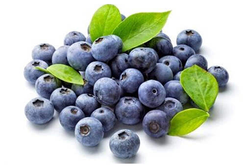 新鲜蓝莓如何保存?吃蓝莓有什么好处?