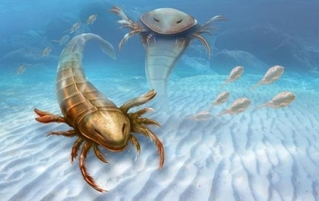 5亿年前海蝎化石 长1.7米曾统治地球