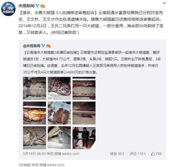 云南猎杀出售大熊猫案:3人被批捕移送审查起诉