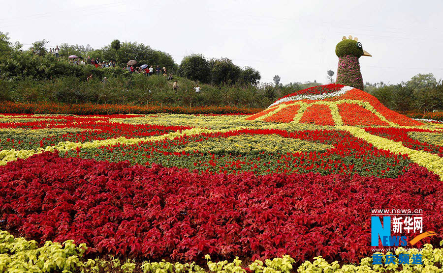重庆主城建万亩花海景区一年四季皆可赏花休闲