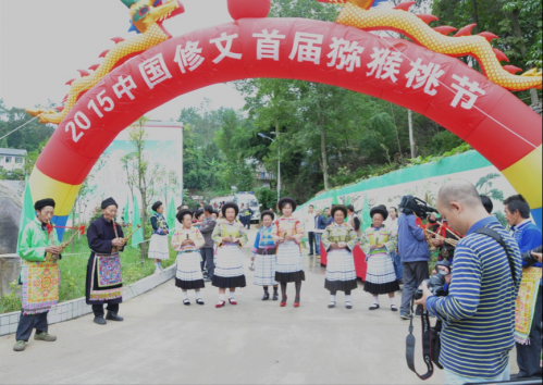 2015贵州修文首届猕猴桃节正式启动
