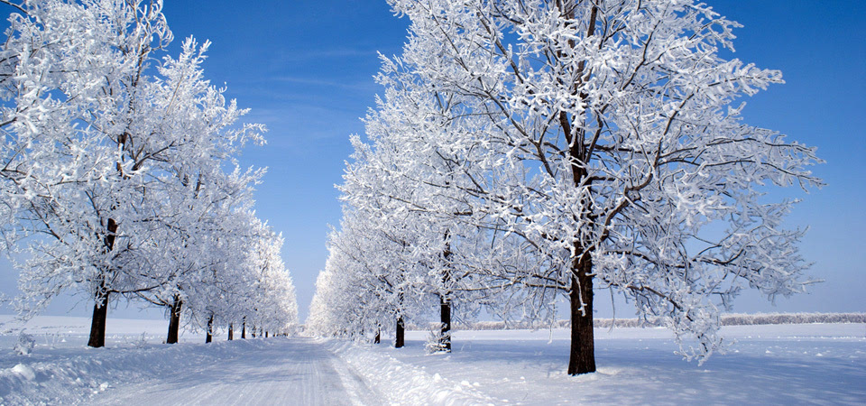 雪的早晨 冬天的早晨 树林 公路 雪地 蓝天 风景桌面